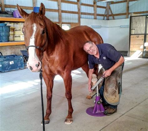 Farrier near me - If your barn will be a new stop for the farrier, ask how he or she schedules regular trimmings and shoeings. Some farriers don’t come out until you call to make an appointment, so ask how the farrier operates. If you must call each time your horse needs a trim, find out how far in advance you should call to secure a timely appointment.